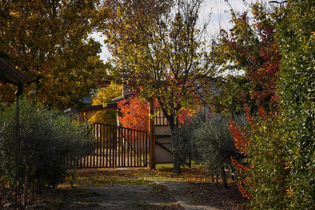 Agriturismo Corte Benetti 罗维戈 外观 照片