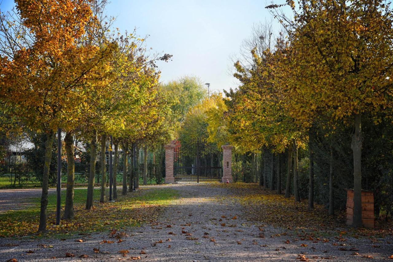 Agriturismo Corte Benetti 罗维戈 外观 照片