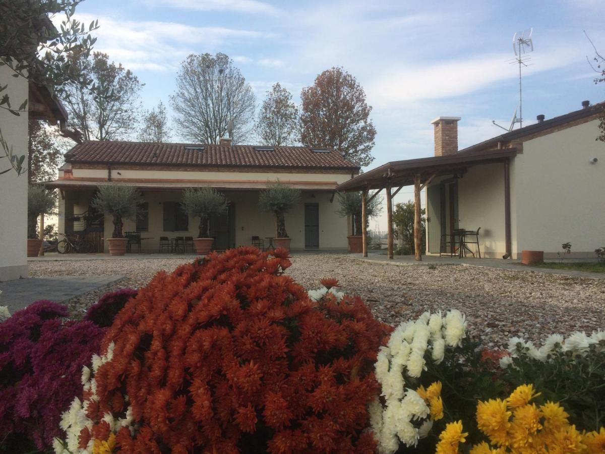 Agriturismo Corte Benetti 罗维戈 外观 照片
