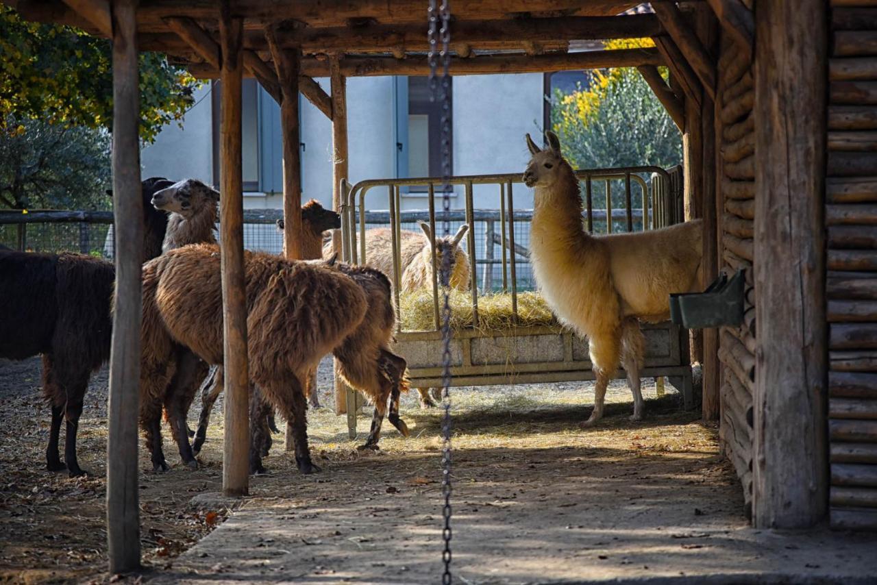 Agriturismo Corte Benetti 罗维戈 外观 照片