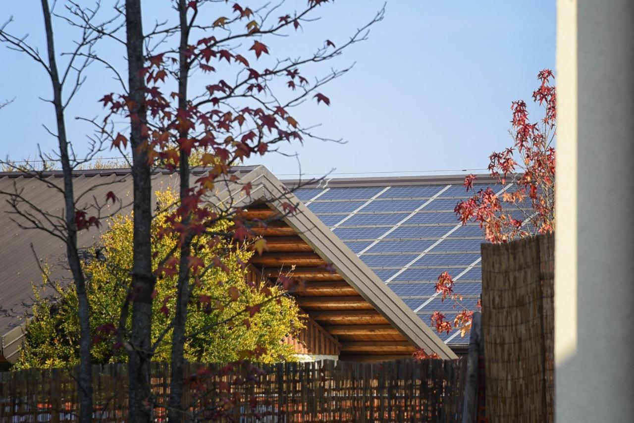 Agriturismo Corte Benetti 罗维戈 外观 照片
