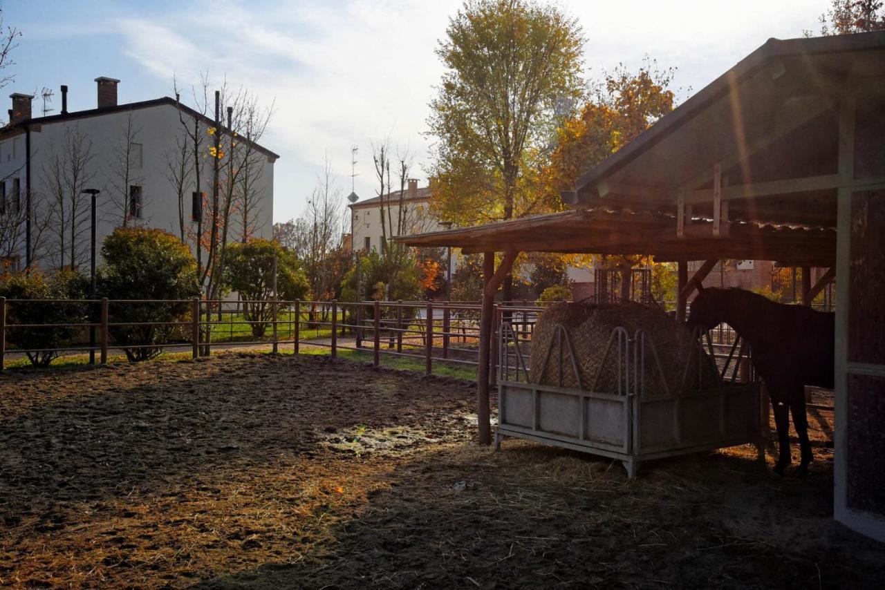 Agriturismo Corte Benetti 罗维戈 外观 照片